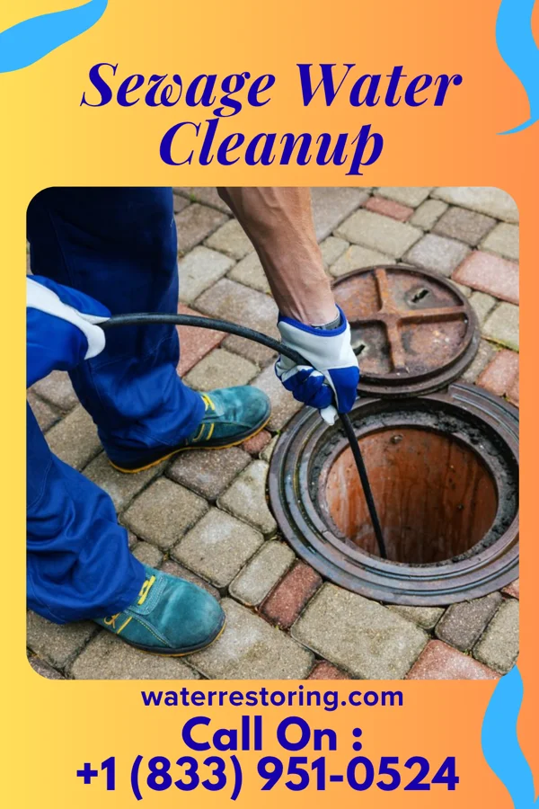Sewage Water Cleanup in Tollette, AR